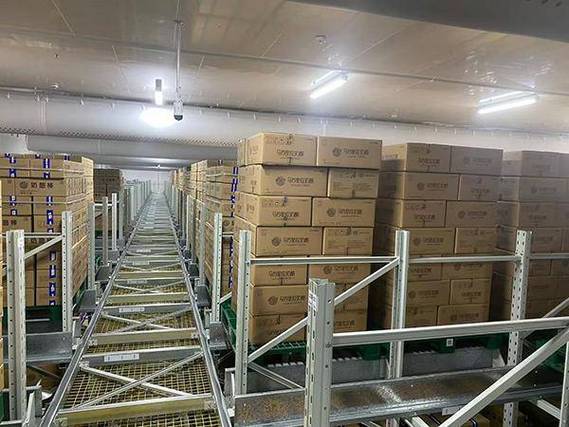 冷链仓储场景下的冷库货架厂家梳理与低温仓储解决方案